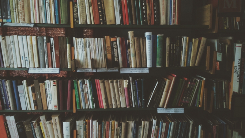 bibliotheque-BEUIL-min_bookcase-1869616