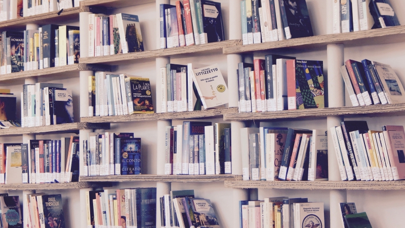 bibliotheque-BEUIL-min_books-1617327